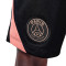 Nike PSG-training voor Kinderen 2024-2025 Shorts