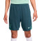 Nike Tottenham 2024-2025 Training Shorts