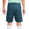 Nike Tottenham 2024-2025 Training Shorts