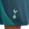 Pantalón corto Nike Tottenham Training 2024-2025