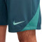 Pantalón corto Nike Tottenham Training 2024-2025