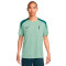 Nike Tottenham 2024-2025 Training Shirt