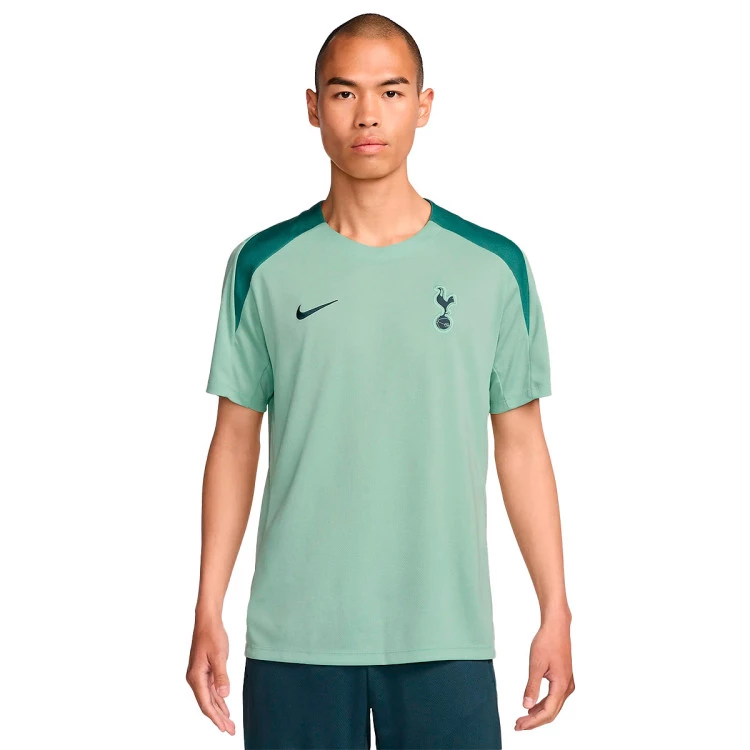 camiseta-nike-tottenham-training-2024-2025-enamel-green-bicoastal-faded-spruce-0