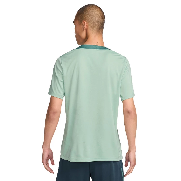 camiseta-nike-tottenham-training-2024-2025-enamel-green-bicoastal-faded-spruce-1