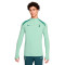 Nike Tottenham 2024-2025 Training Sweatshirt