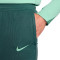 Nike Tottenham 2024-2025 Training Long pants