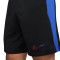 Nike FC Barcelona 2024-2025 Away Shorts