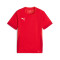 Puma Kids teamGOAL T-Shirt