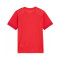 Puma Kids teamGOAL T-Shirt