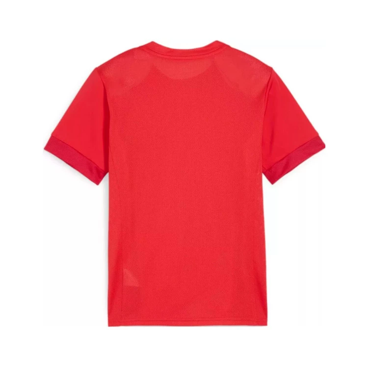 camiseta-puma-teamgoal-nino-red-white-fast-red-1