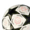 adidas Champions League 2024-2025 350gr Ball