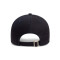 New Era Teamoverzicht Team New York Yankees Pet