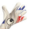 Uhlsport Absolutgrip Foam France Euro24 Handschuh