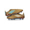 adidas F50 Elite FG Messi x Slecht Bunny Voetbalschoenen