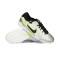 Nike Tiempo Legend 10 Pro Gras Voetbalschoenen