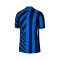 Nike Inter Milan 2024-2025 Authentic Home Jersey