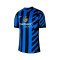 Maglia Nike Inter Home Authentic 2024-2025