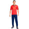 Nike Speciale editie Portugal 2024-2025 Shirt