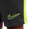 Nike Kinderen Academie Shorts