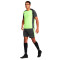 Short Nike Dri-Fi Academy 23