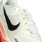 Nike Air Zoom Pegasus 41 Eliud Kipchoge Hardloopschoenen