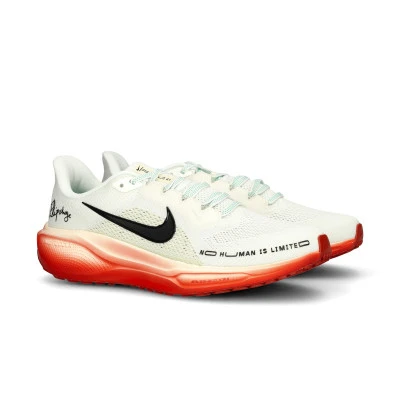 Air Zoom Pegasus 41 Eliud Kipchoge Laufschuhe