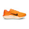 Nike Air Winflo 11 Running shoes