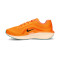 Nike Air Winflo 11 Running shoes