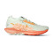 Tenis Nike Pegasus Trail 5 Gtx