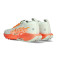 Tenis Nike Pegasus Trail 5 Gtx