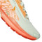 Tenis Nike Pegasus Trail 5 Gtx