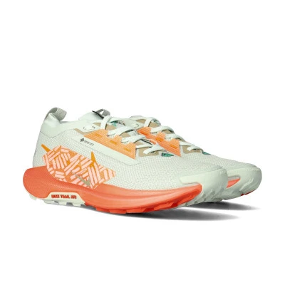 Pegasus Trail 5 Gtx Running shoes