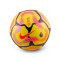 Ballon Nike Premier League 2024-2025 Pitch