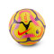 Nike Premier League 2024-2025 Academy Ball