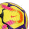 Balón Nike Premier League 2024-2025 Academy