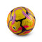 Nike Premier League 2024-2025 Club Elite Ball