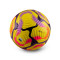 Nike Premier League 2024-2025 Flug Ball