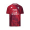 Kappa Kinderen FC Metz 2024-2025 Thuis Jersey