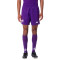 Calções Kappa Fiorentina Primeiro Equipamento 2024-2025