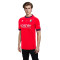 Macron CA Osasuna 2024-2025 Heim Trikot