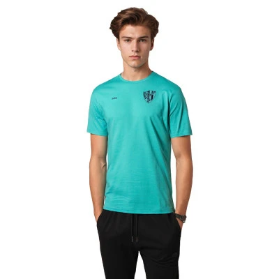 Sociedad Deportiva Huesca Fanswear 2024-2025 T-Shirt