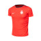 Camisola Nike RCD Mallorca Training Jogador 2024-2025 Criança