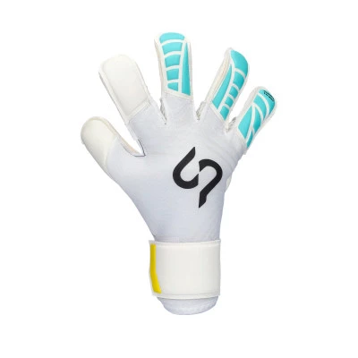 Earhart Competition Gloves