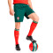 Puma Portugal 2024-2025 Home Shorts