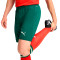 Puma Portugal 2024-2025 Home Shorts