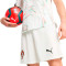 Puma Portugal 2024-2025 Uit Shorts