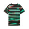 Puma Kinderen Portugal 2024-2025 Pre-Match Shirt