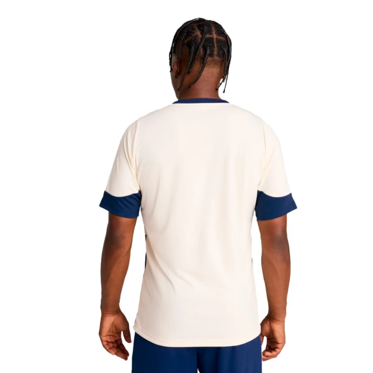 camiseta-puma-portugal-training-2024-2025-sugared-almond-persian-blue-1