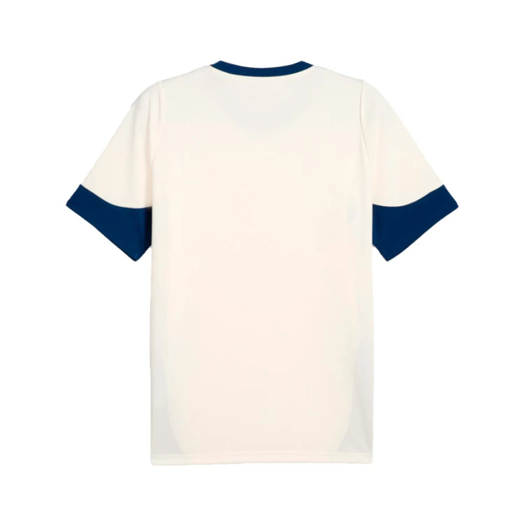 camiseta-puma-portugal-training-2024-2025-sugared-almond-persian-blue-6