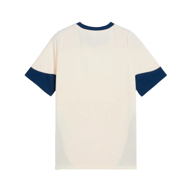 camiseta-puma-portugal-training-2024-2025-nino-sugared-almond-persian-blue-5